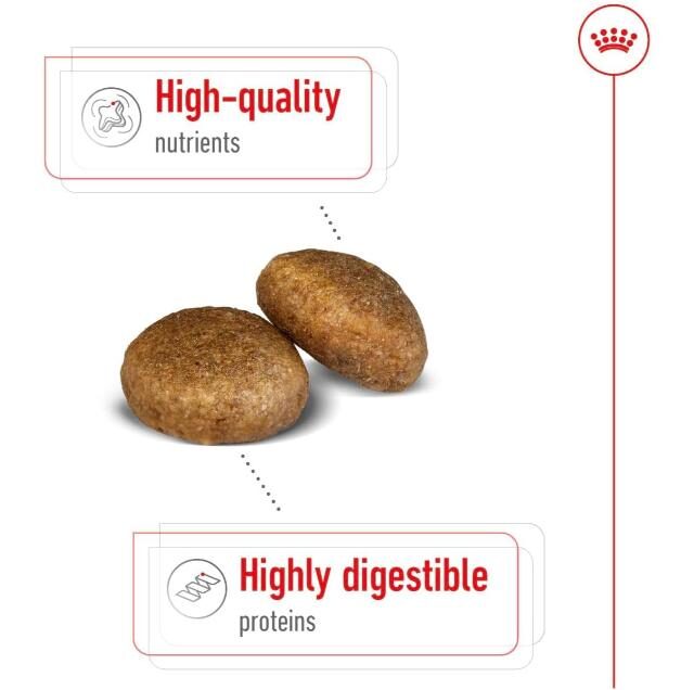 Royal Canin Maxi Adult Dry Dog Food - 15KG - Image 3