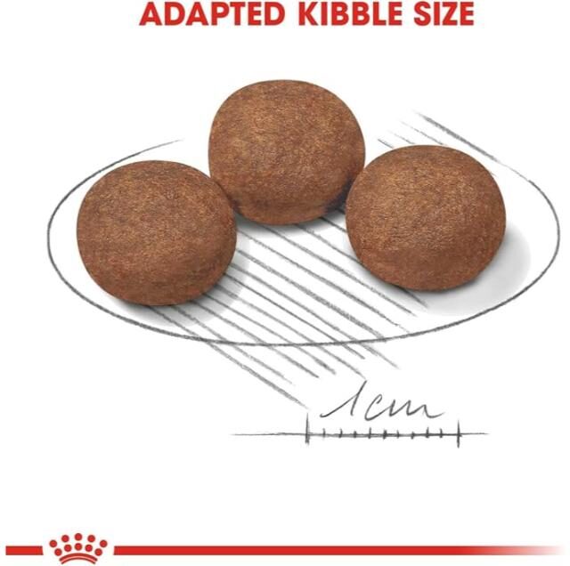Royal Canin Dry Food for Medium Breed Puppies (Up to 12 Months & 11-25kg) - Image 4