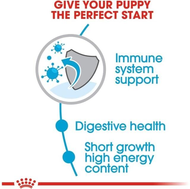 Royal Canin Dry Food for Medium Breed Puppies (Up to 12 Months & 11-25kg) - Image 3