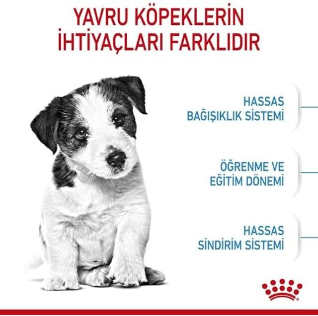 Royal Canin Shn Size Health Nutrition Mini Puppy 2Kg Dog Dry Food - Image 3