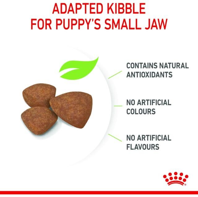 Royal Canin SHN Mini Adult 800 gm Size Health Nutrition Dog Food - Image 3