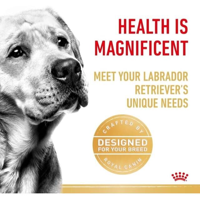 Royal Canin Labrador Retriever Adult Wet Dog Food - 140G - Image 4