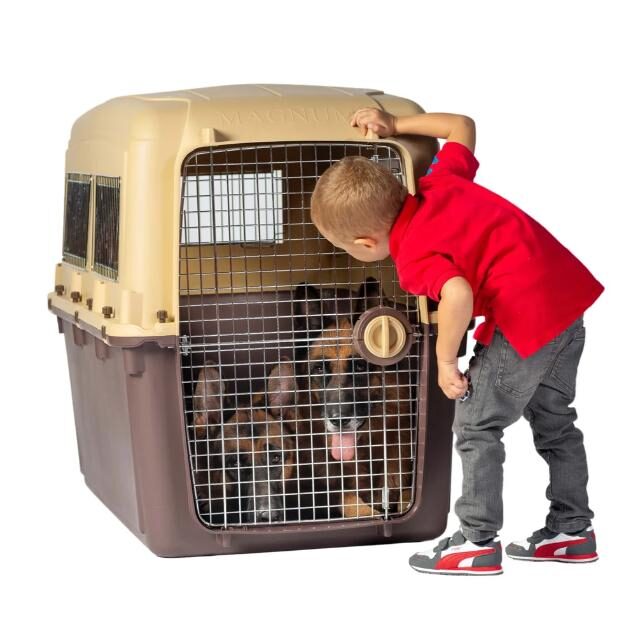MAGNUM HIGH QUALITY DOG CARRIER SIZE:115 X 69 X85 CM - Image 3