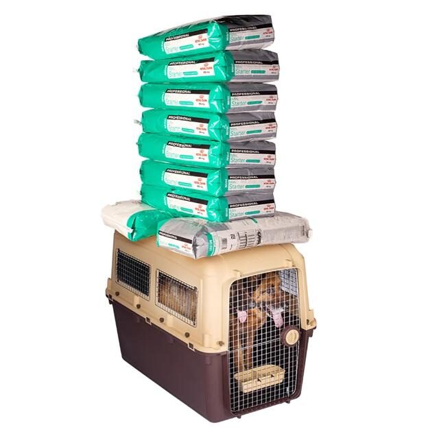 MAGNUM HIGH QUALITY DOG CARRIER SIZE:115 X 69 X85 CM - Image 4