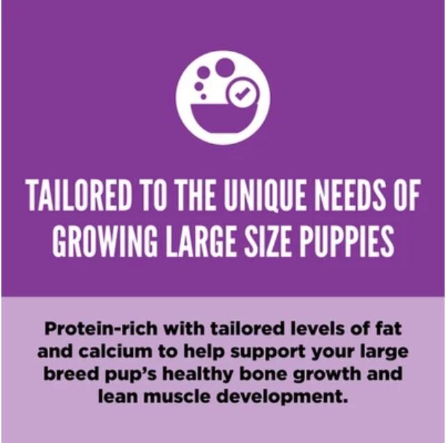 Orijen Large Breed Puppy Protein-Rich Dog Dry Food - Image 2