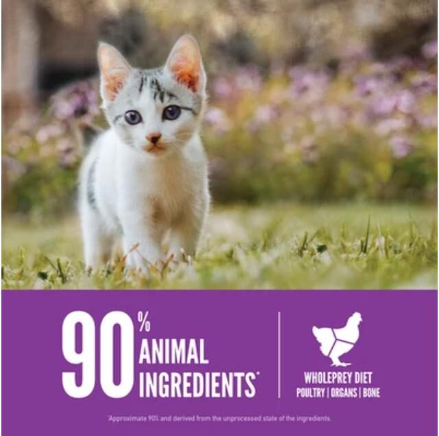 Orijen Kitten Formula - Brain & Muscle Development Cat Dry Food - Image 4