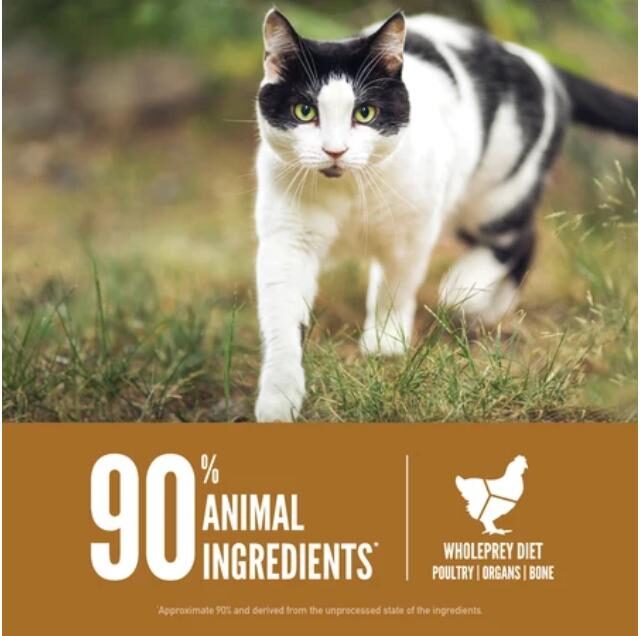 Orijen Original Protein-Rich Cat Dry Food - Image 4