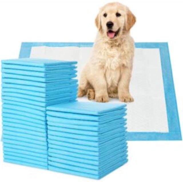 NEWCLEARS PET PADS DISPOSABLE (60X60CM) - Image 3