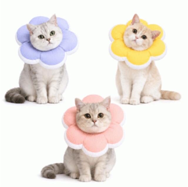 Saas Cat Soft Elizabeth Collar (Medium)