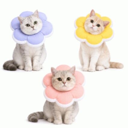 Saas Cat Soft Elizabeth Collar (Small)