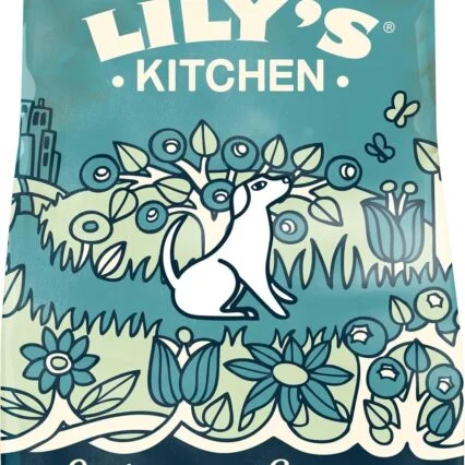 LILY'S KITCHEN Salmon Supper Adult Dog Dry Food - 2.5 KG